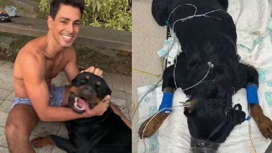 Após perder cãozinho Romeu, Cauã Reymond agradece solidariedade de fãs e famosos