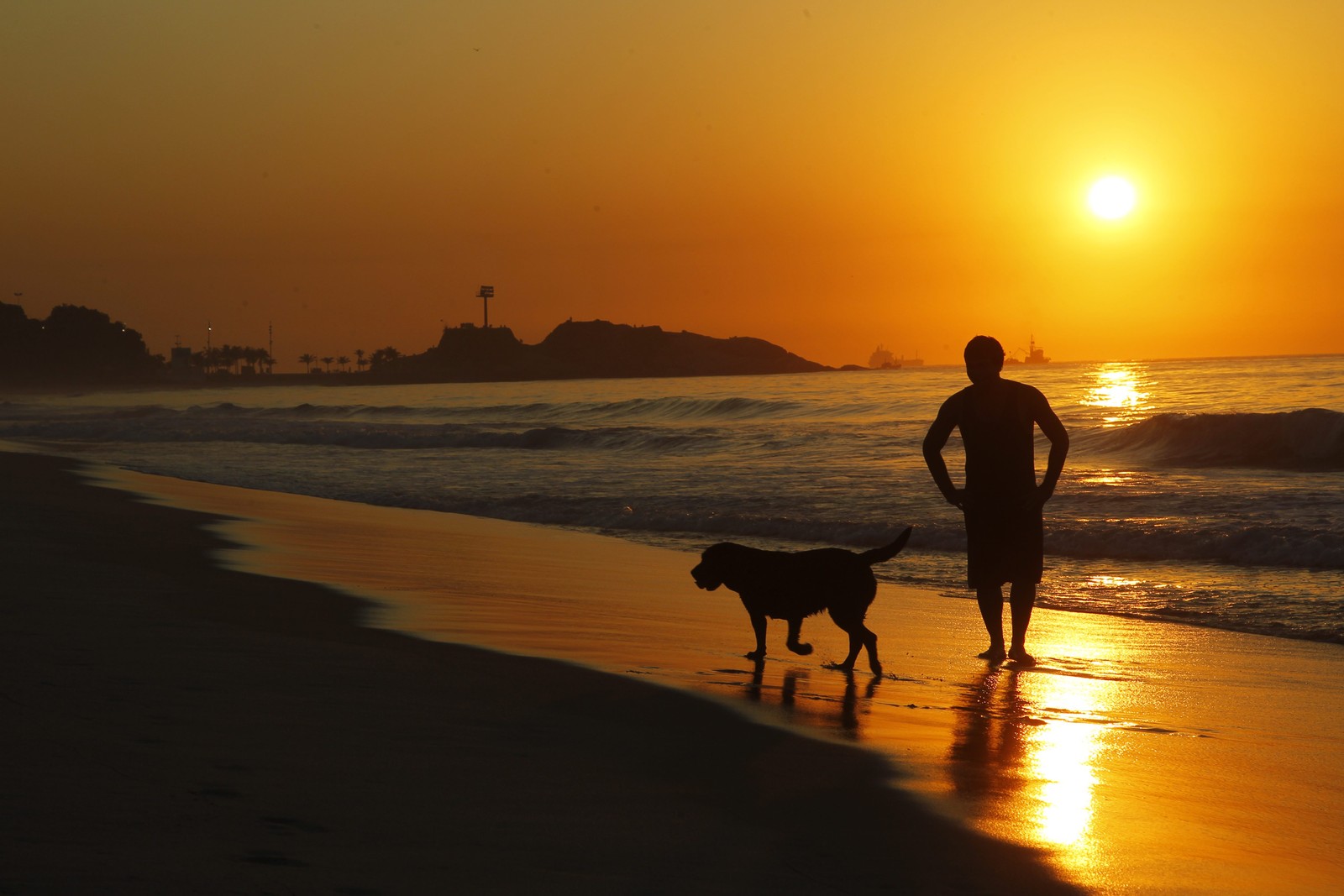 Um passeio na praia com o melhor amigo — Foto: Custodio Coimbra/Agência O Globo