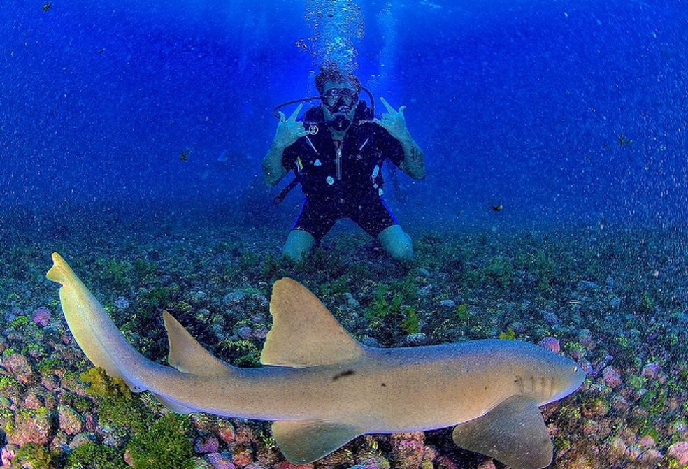 Rafael Puglisi posa com tubarão no fundo do mar: amor por mergulho e por Fernando de Noronha — Foto: Reprodução