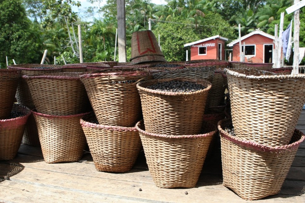 Cestos com açaí na comunidade de Curralinho, na Ilha de Marajó: boa parte da produção é extrativista, a cargo de famílias ribeirinhas — Foto: Carlos Ivan/23-1-2011