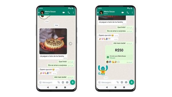 WhatsApp libera compras pelo app na Índia; veja como funciona - 29