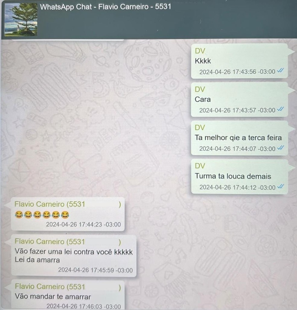 Diálogo entre o então dono do Master, Daniel Vorcaro, e o empresário Flávio Carneiro obtido com exclusividade; telefone foi rasurado para preservar dados pessoais — Foto: Reprodução