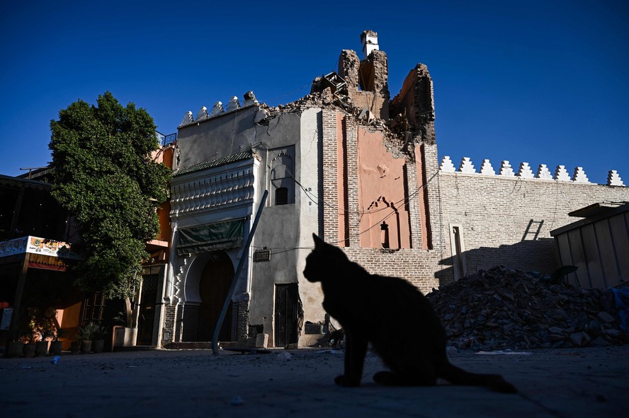 Um gato parado de frente a uma construção danificada no bairro antigo de Marrakech