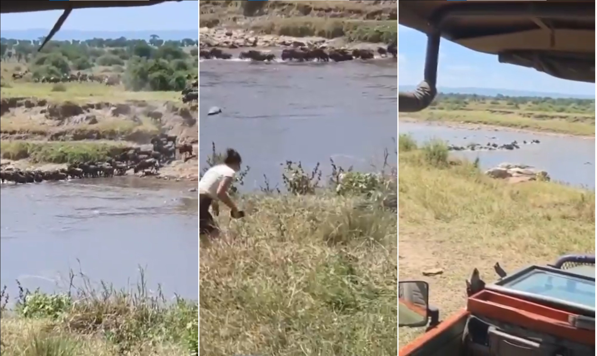 Turistas pulam de jipe descontrolado rumo a rio infestado de crocodilos na Tanzânia; veja vídeo - Foto