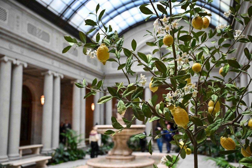 Ambiente com luz externa da Frick Collection — Foto: ANGELA WEISS / AFP