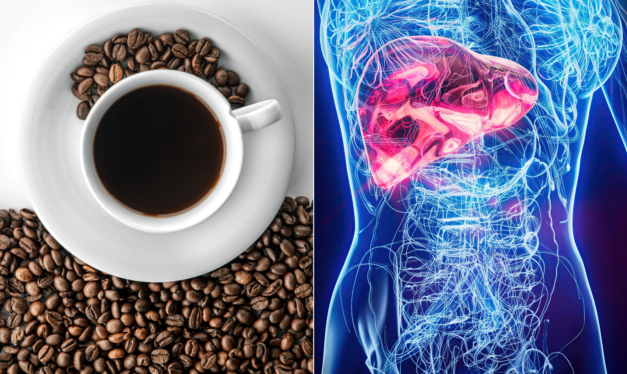 Café: Aliado Poderoso Contra Doenças e Câncer de Fígado