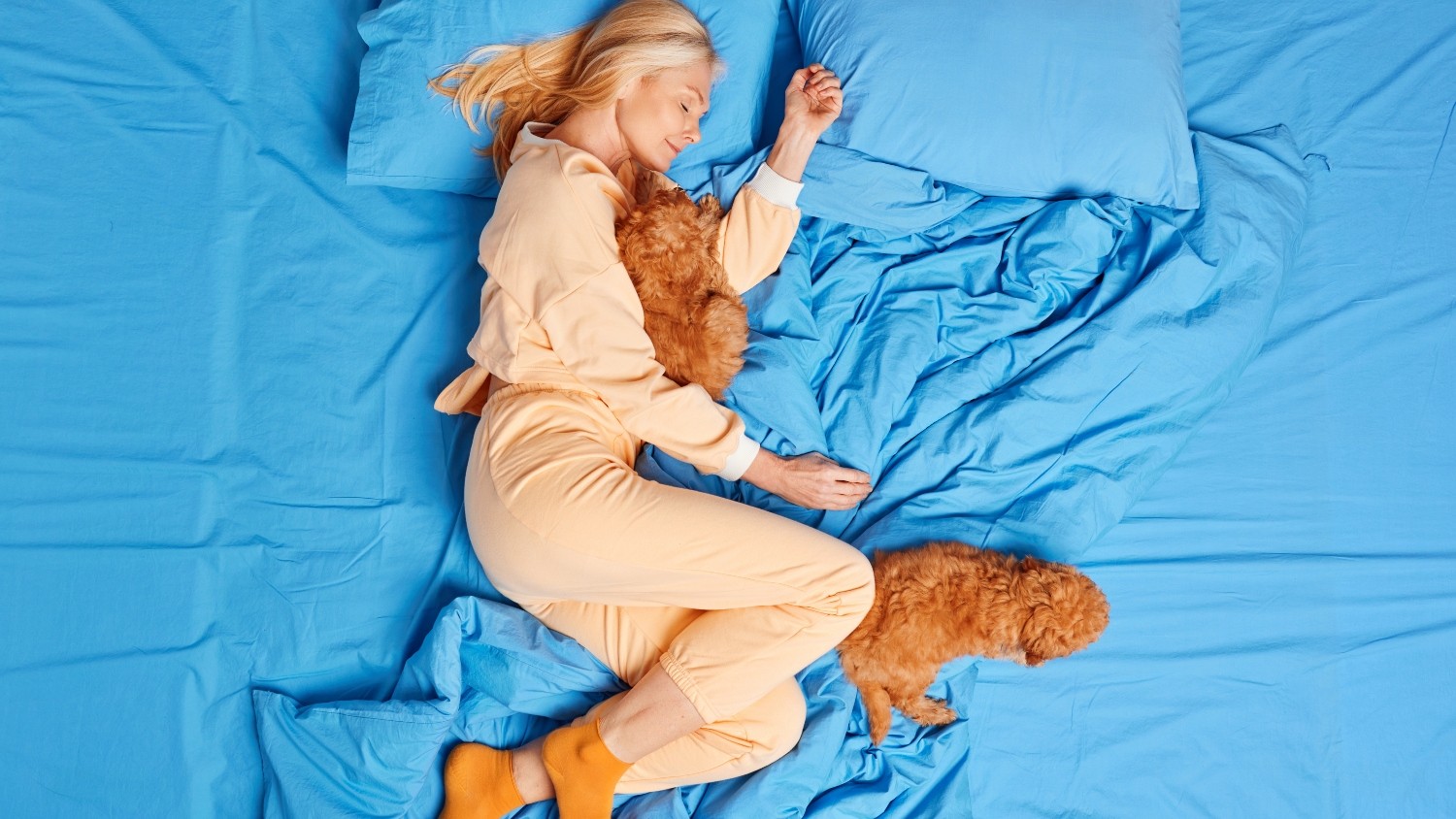 Dormir com pets: conforto ou impacto no sono? Veja o que os estudos mostram