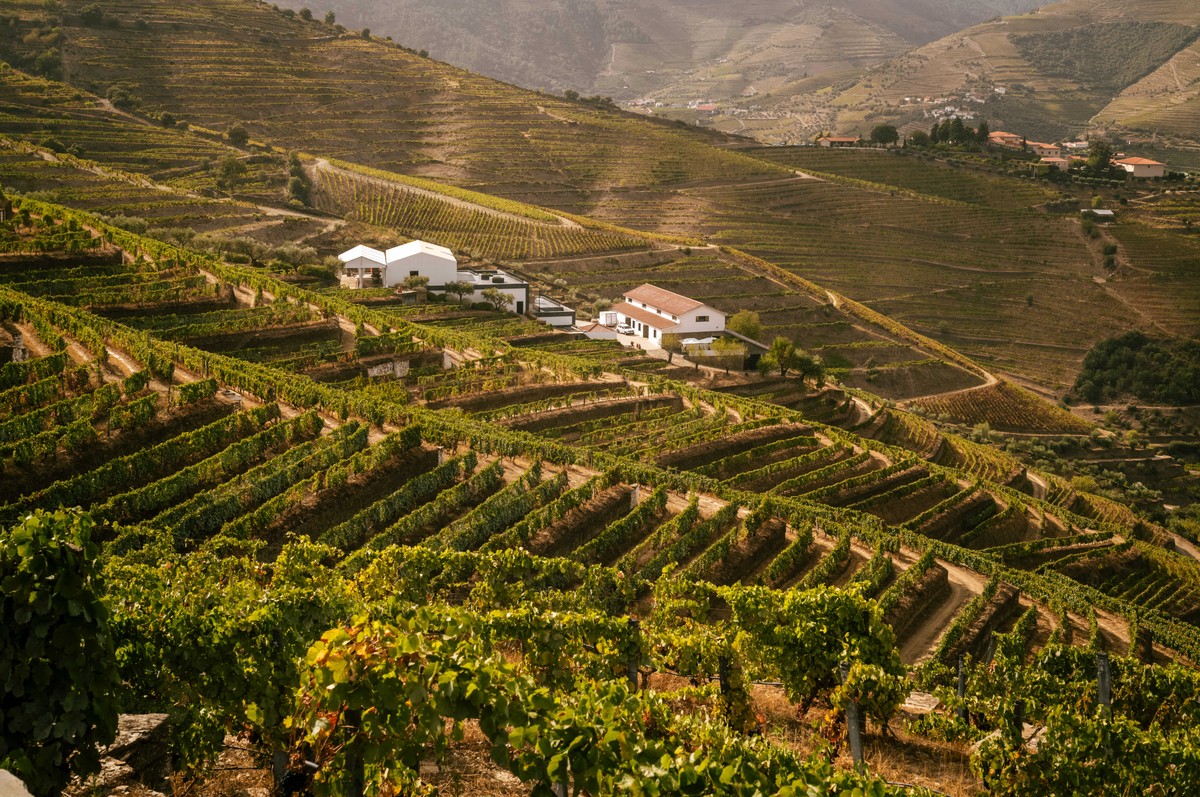 Quinta no Douro atrai brasileiros com enoturismo