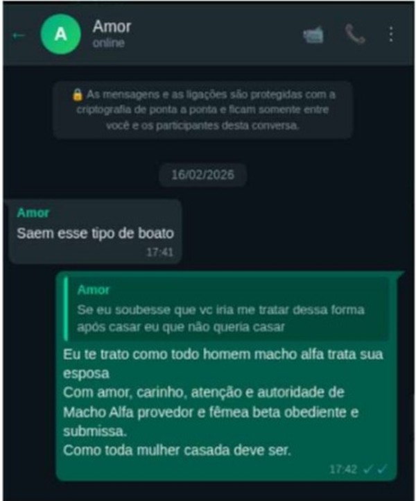 'Macho alfa' e 'fêmea beta obediente': as conversas que incriminam o ...