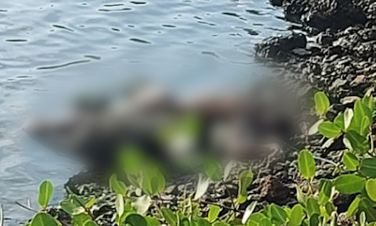 Corpo de um homem é encontrado às margens da Lagoa da Barra