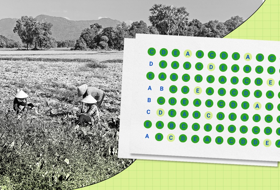 Segurança alimentar pode ser tema de dissertação no Bloco 3 — Foto: Arte O Globo