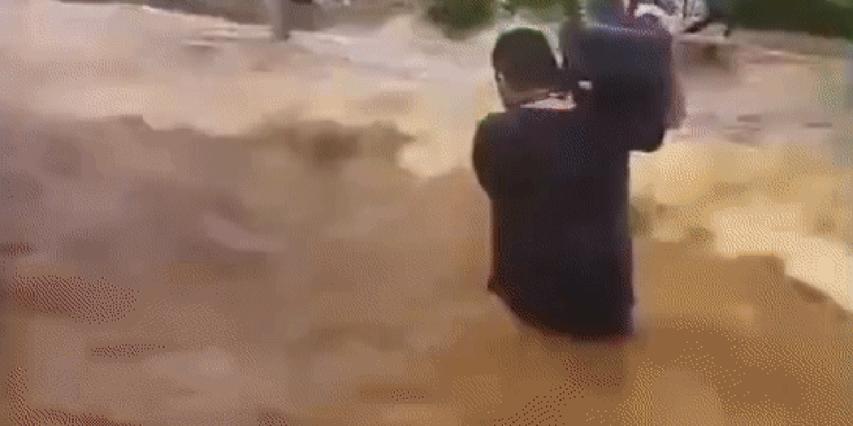 Homem enfrenta ondas durante cheia do Guaíba para resgatar animais; assista