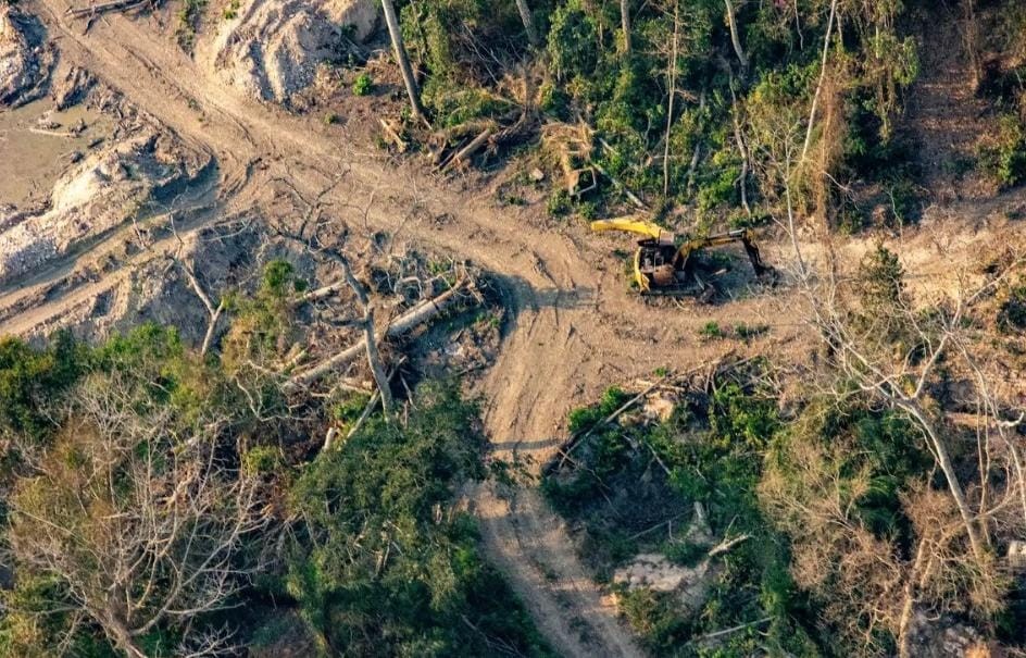 Desmatamento fragmenta a Amazônia e isola 23% de suas florestas, diz estudo; entenda