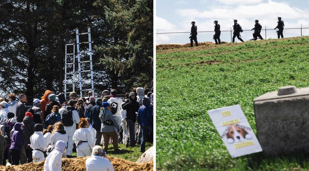 Ativistas tentam pular cerca para resgatar beagles — Foto: Taylor Glascock for The New York Times