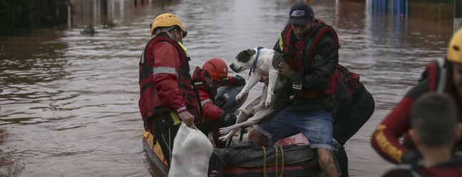 ONG's e grupos voluntários vem se somando no resgate de animais domésticos abandonados durante as enchentes no Rio Grande do Sul — Foto: Anselmo Cunha/AFP