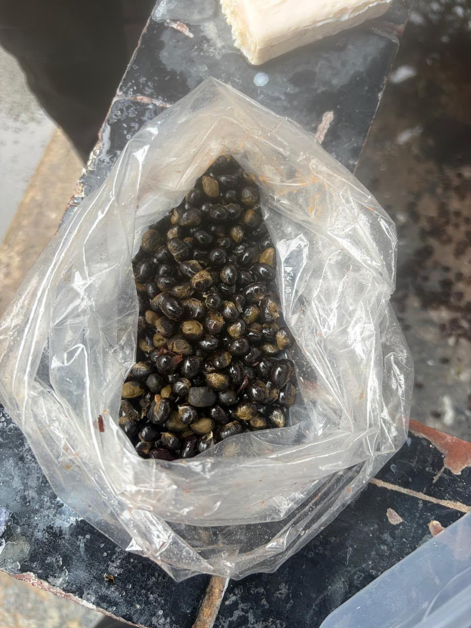 Visitantes são presos ao tentar entrar em presídio da Zona Oeste do Rio com maconha e haxixe escondidos em porções de carne e feijão