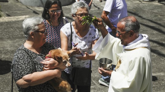 Pets recebem benção em dia de São Francisco de Assis; veja fotos