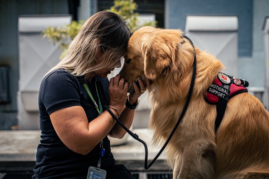 Cachorros que acompanhar pessoas com transtornos de saúde mental, como ansiedade e depressão. Danielle Cristo e seu cachorro, Rudá, onde trabalha, na Secretaria de Estado de Saúde
