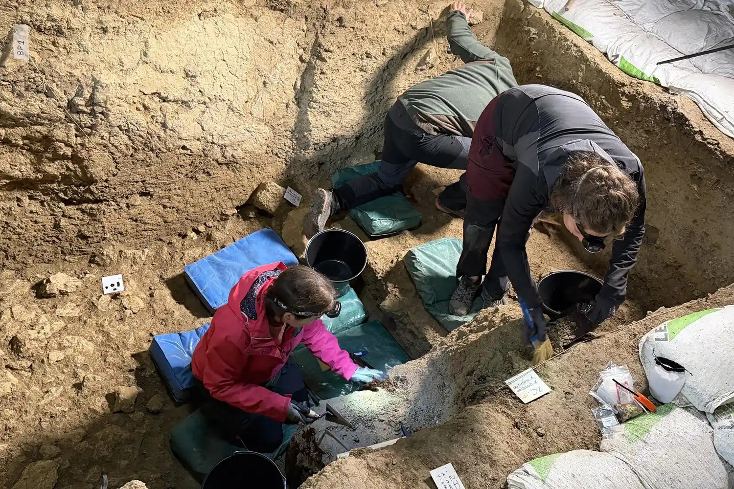Fósseis de neandertal de 46 mil anos são identificados em caverna na Espanha