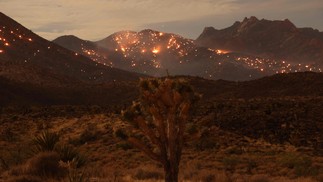 O York Fire foi um grande incêndio florestal na Reserva Nacional de Mojave, no condado de San Bernardino, Califórnia — Foto: DAVID SWANSON