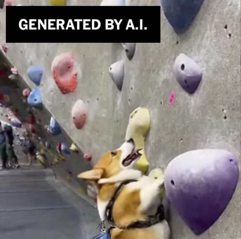 Imagem estática tirada de um vídeo gerado pelo Sora da OpenAI, a partir de uma mensagem do jornalista Brian X. Chen, um cachorro escala rochas em uma parede de escalada — Foto: Reprodução via The New York Times