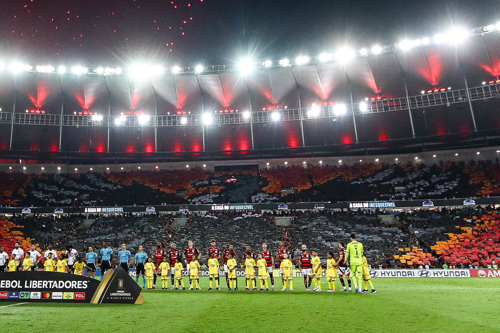 Mosaico da torcida do Flamengo contra LDU — Foto: Gilvan de Souza/Flamengo