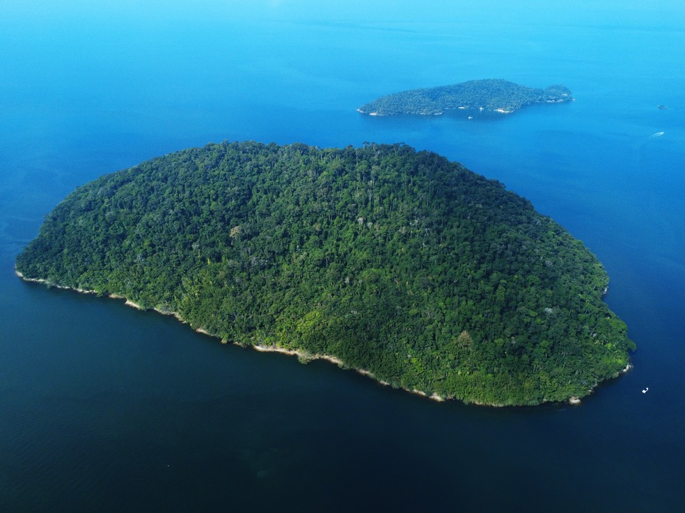 Ilha dos Gatos, em Mangaratiba: local onde habitam mais de 700 animais é cenário de abandono e crise ambiental — Foto: Custódio Coimbra/ Agência O GLOBO