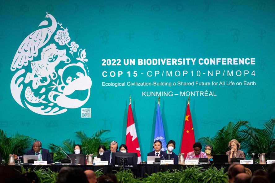 Preservação da biodiversidade pode contribuir para evitar proliferação de  vírus e novas epidemias - Eco21
