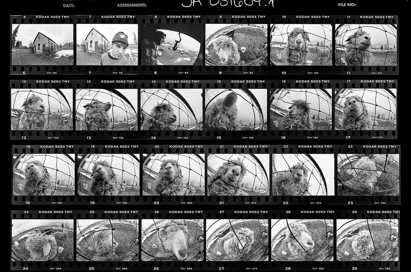 Pearl Jam divulga sequência fotográfica inédita que resultou na capa de Vs.
