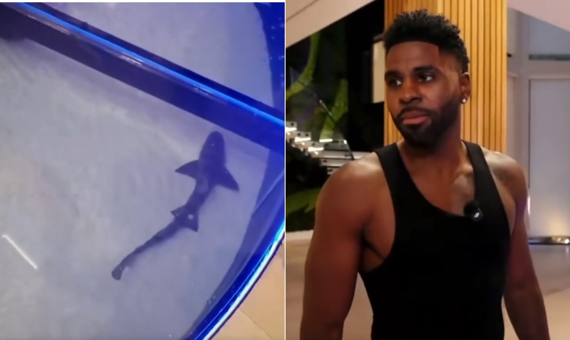 Jason Derulo exibe aquário no chão de mansão com tubarões e 