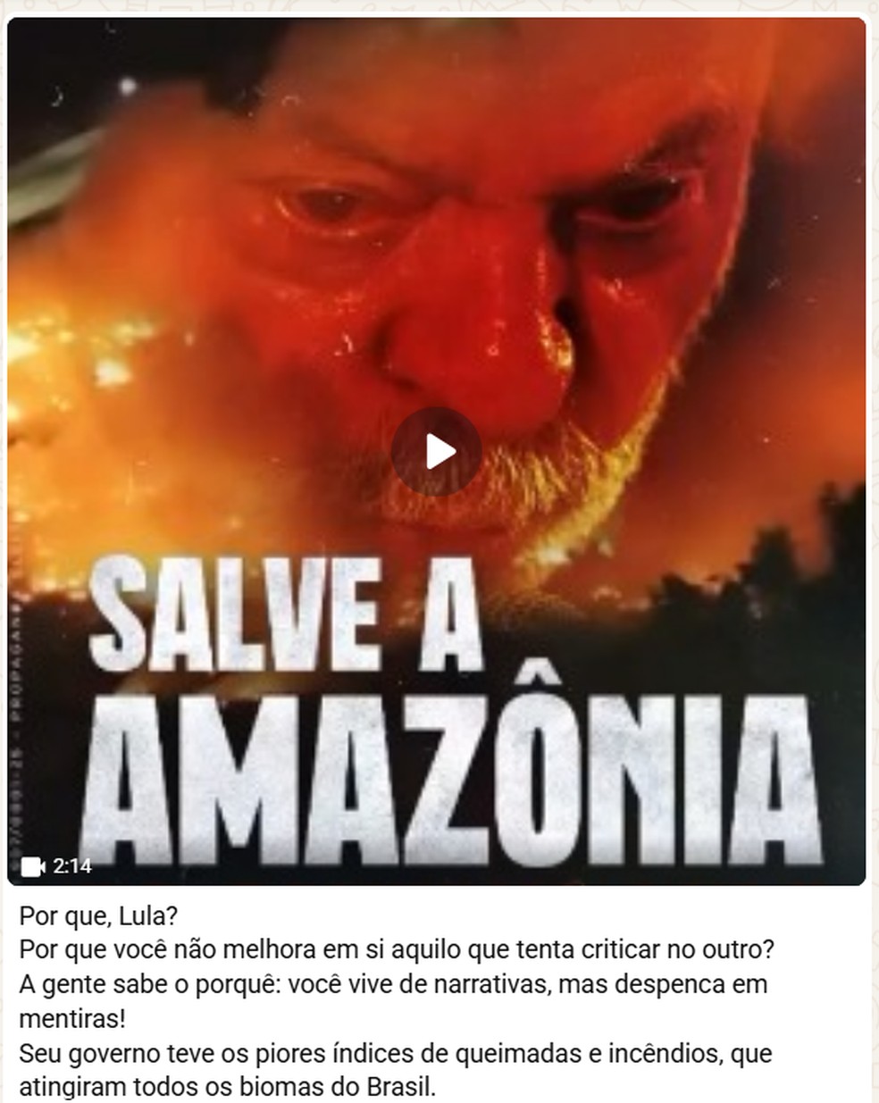 'Exército do Lula' x 'Tropa do Flávio': canais de apoiadores exploram ...