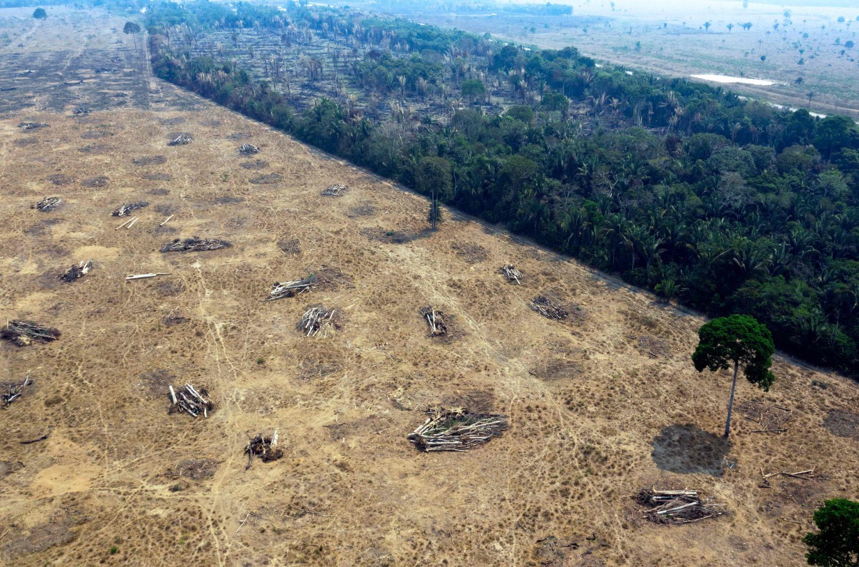 Sistemas de controle desencontrados dificultam combate ao desmatamento ligado à soja e à carne, diz estudo