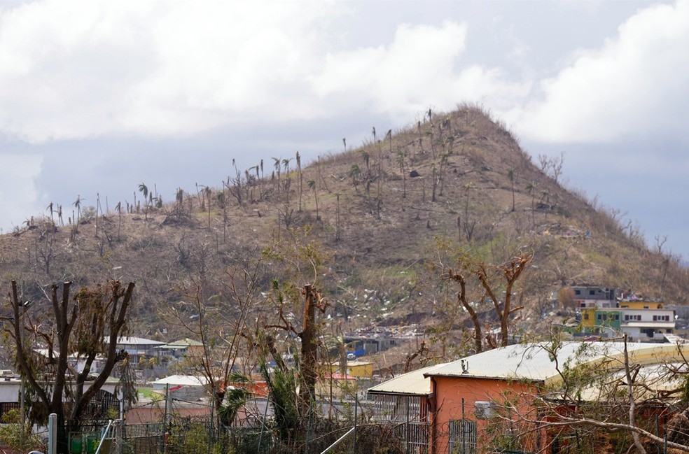 Danos e árvores derrubadas em Pamandzi, no território francês de Mayotte, no Oceano Índico — Foto: Dimitar DILKOFF / AFP