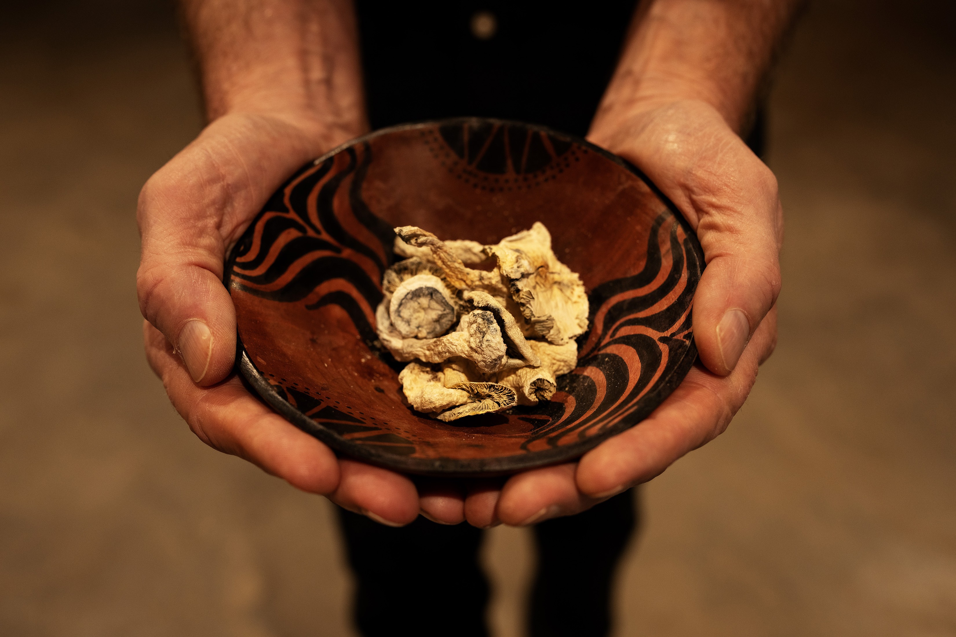 O maior estudo sobre drogas psicodélicas revela como elas reorganizam o cérebro humano