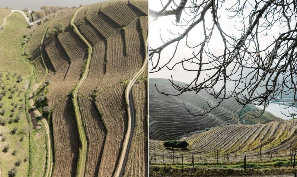 Berço do vinho do Porto, o Douro é a mais antiga região vinícola demarcada do mundo: setembro de 1756 — Foto: Divulgação