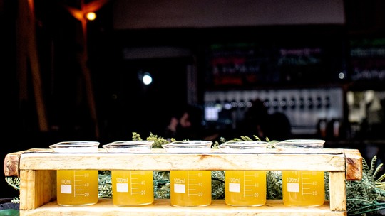 Não dá barato: cerveja à base de cannabis é lançada com festa no Dia da Maconha