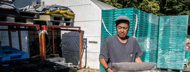 Produtor Nobuyoshi Fujiwara segura um pacote de 'Shimogoe', o fertilizante feito de fezes humanas, que ganha popularidade no Japão — Foto: Yuichi YAMAZAKI / AF
