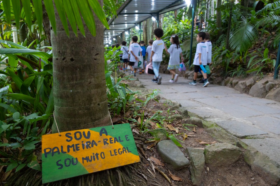 Na Escola Parque, placas identificam espécies de árvores — Foto: Domingos Peixoto