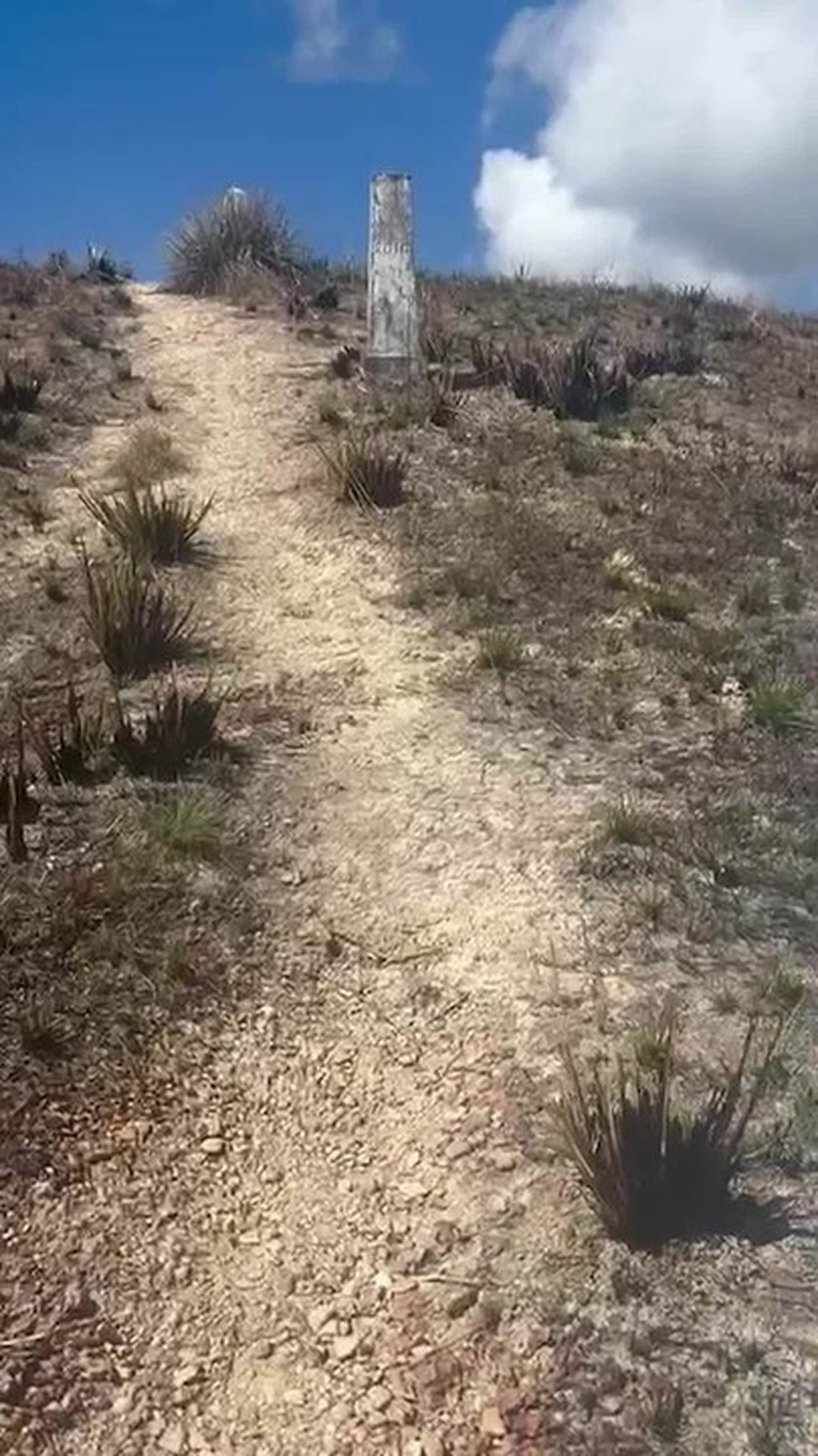 Com medo de fiscaliza&ccedil;&atilde;o do Ex&eacute;rcito, venezuelanos cruzam a p&eacute; a fronteira com o Brasil ap&oacute;s crise no pa&iacute;s