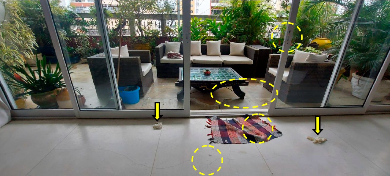 Marcações apontam manchas de sangue e luvas de procedimento usadas entre a sala de estar e varanda — Foto: ICCE-RJ