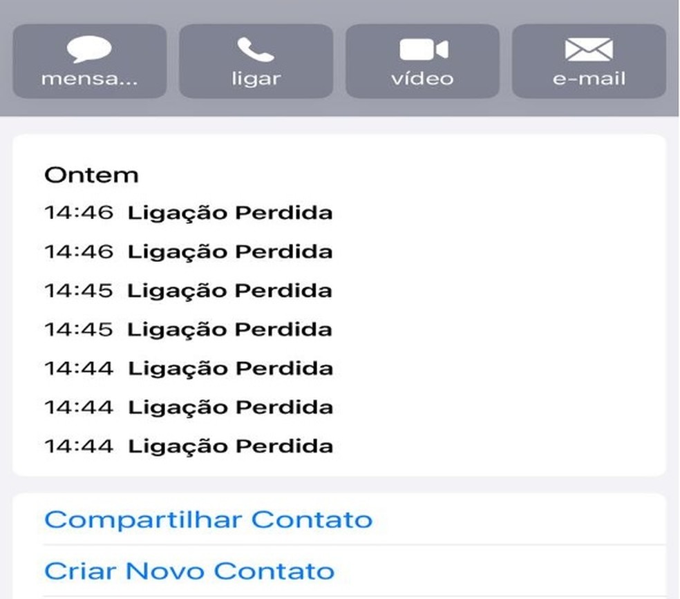 Exemplos de sequências de ligações feitas para o celular de Leila foram anexadas ao processo na Justiça — Foto: Reprodução