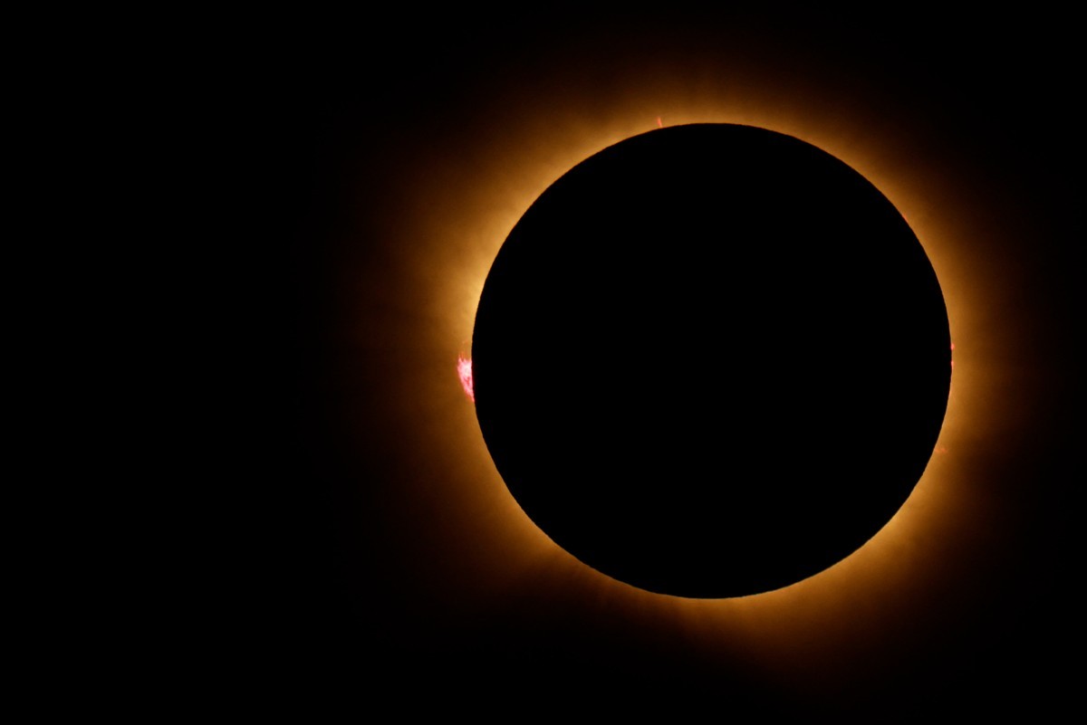 Do Sol à atmosfera terrestre e até ao comportamento dos animais: O que um eclipse pode ensinar à ciência?