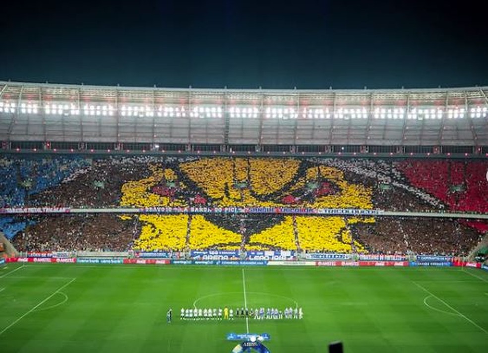 O leão, símbolo do Fortaleza, feito em forma de mosaico no jogo contra o Corinthians, pela Sul-americana — Foto: Renan Ferreira/Fortaleza
