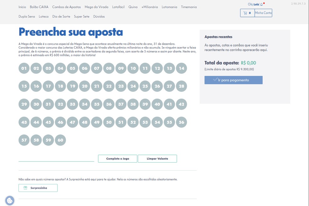 Volante virtual da Mega da Virada 2025 — Foto: Reprodução: Caixa Econômica Federal