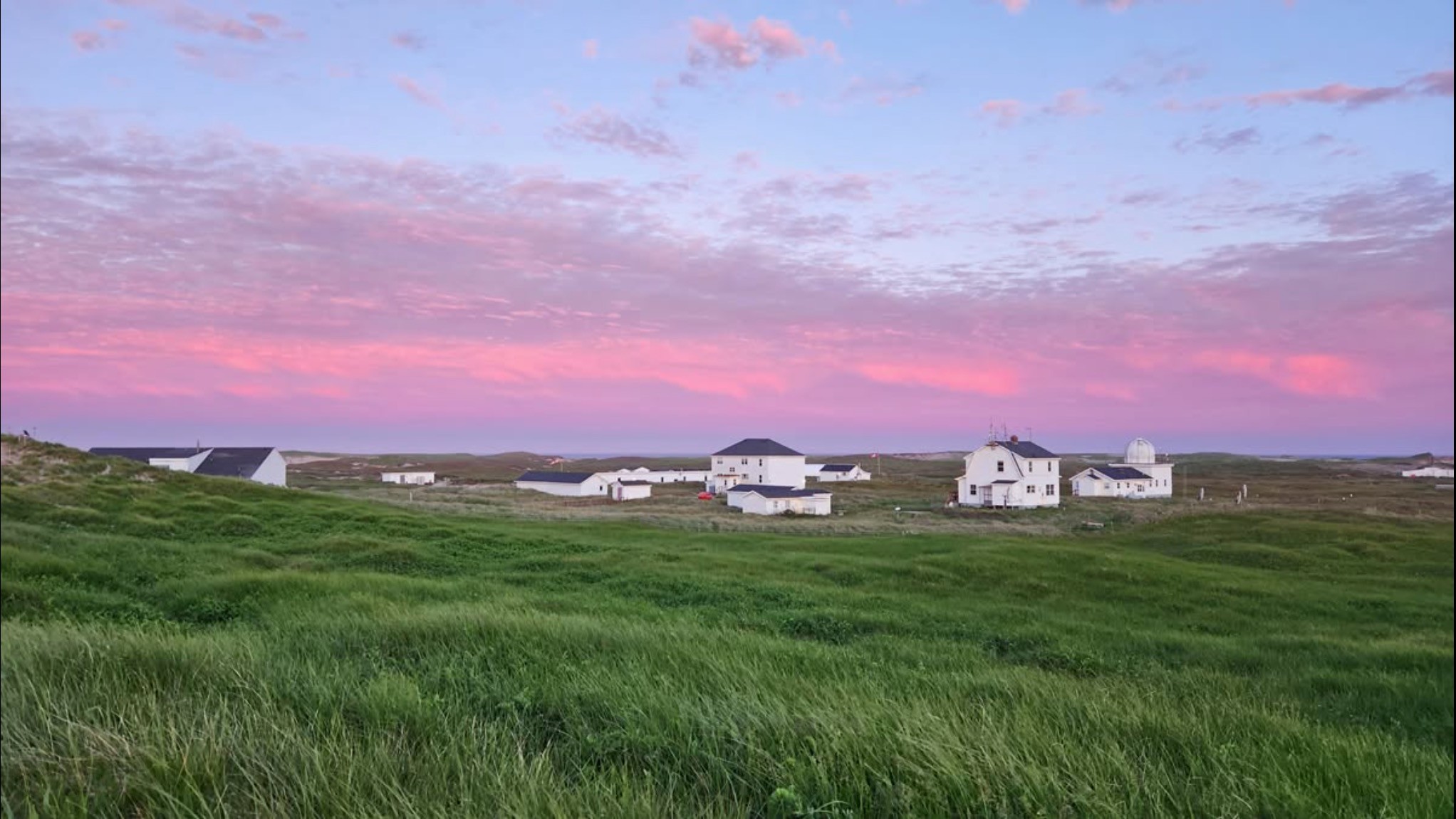 Quem é Zoe Lucas, naturalista canadense que vive isolada em ilha remota há cerca de 50 anos
