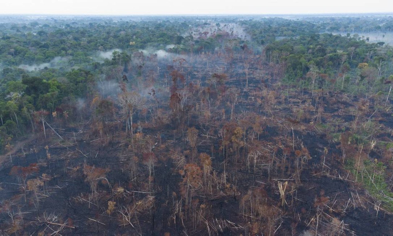 Inpe detectou em Rondônia aumento de 47% nos focos de queimada de 1º de janeiro a 24 de agosto em comparação a igual período de 2020 — Foto: Edilson Dantas / Agência O Globo