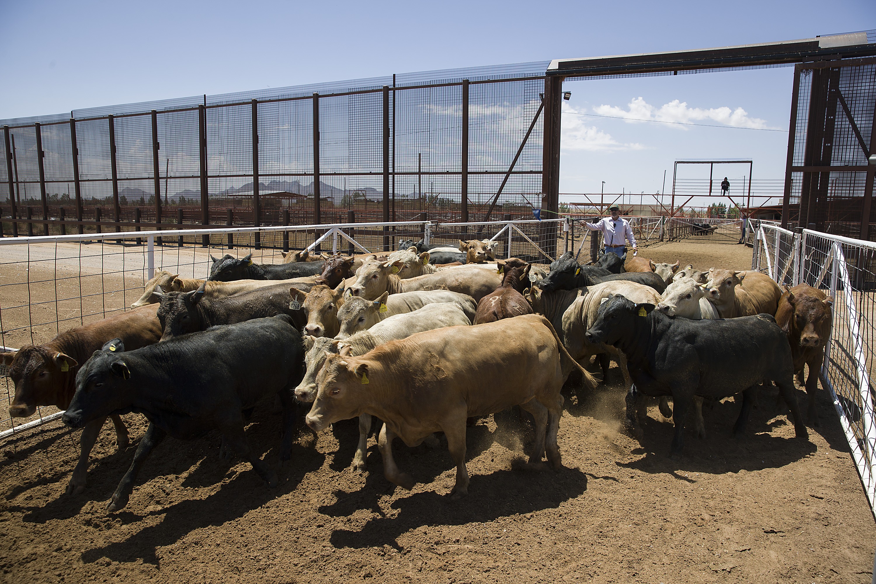As empresas do agro mais afetadas pelo fim da escala 6x1