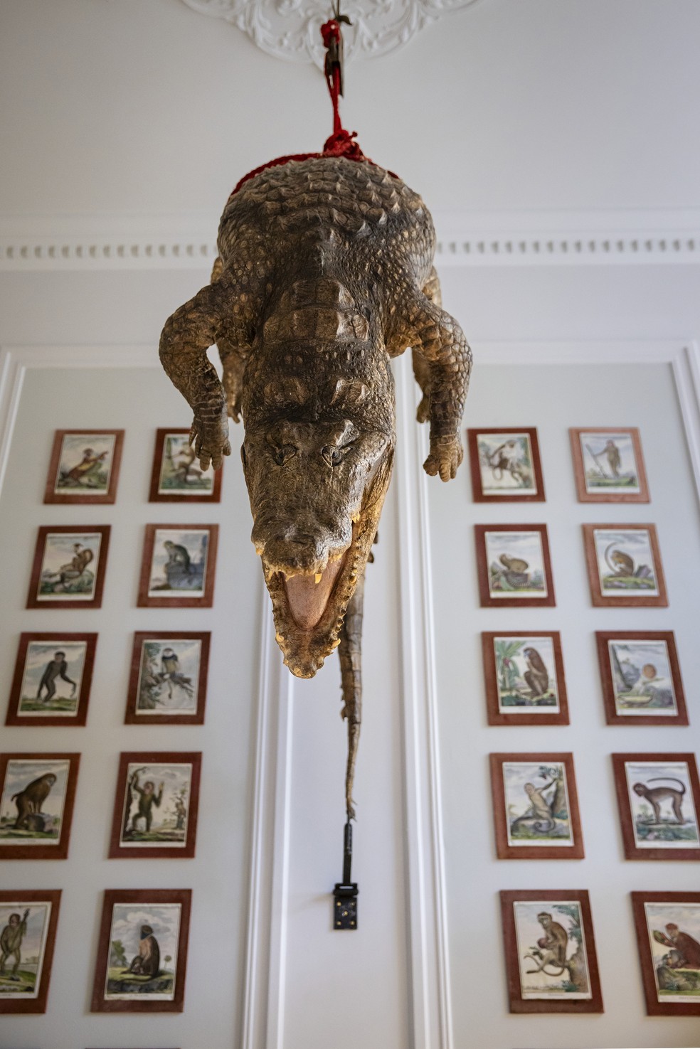 Crocodilo exposto na entrada do Art Zoo, em Amsterdã — Foto: Ilvy Njiokiktjien/The New York Times