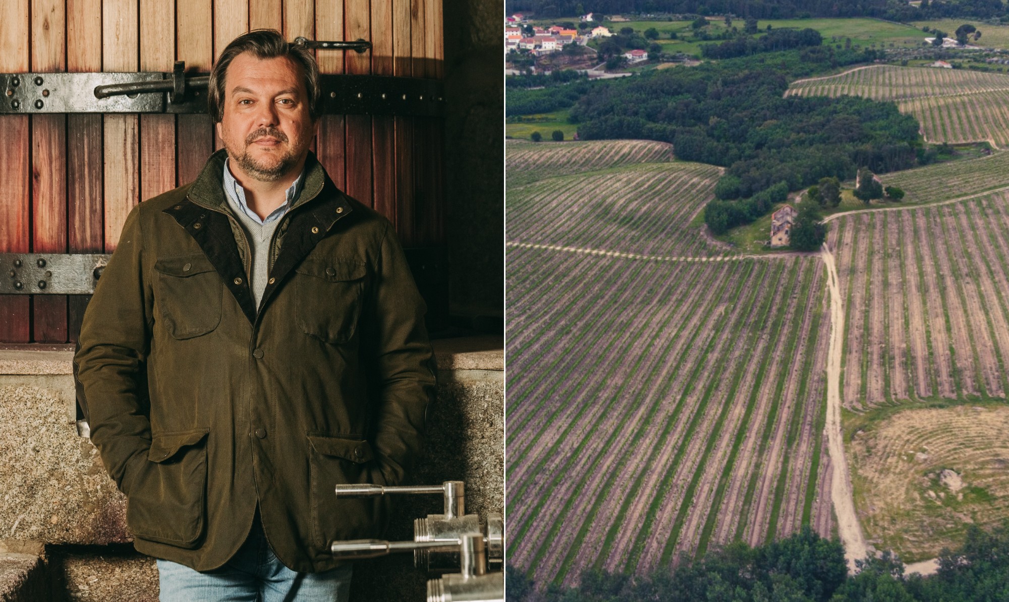 Enólogo Paulo Nunes Desvenda Segredos do Vinho do Dão