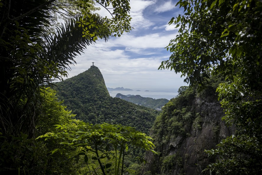 Floresta da Tijuca tem ar melhor para se respirar na comparação com outros pontos do Rio